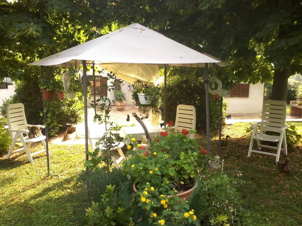 סן ג'מיני Bed And Breakfast Casale Isorella מראה חיצוני תמונה