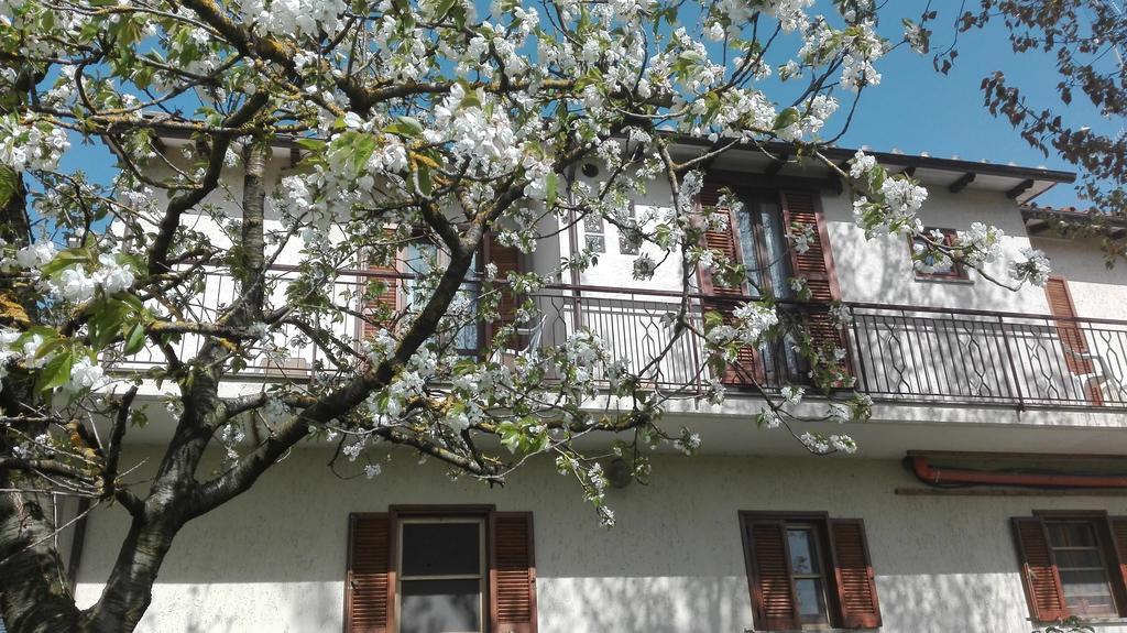 סן ג'מיני Bed And Breakfast Casale Isorella מראה חיצוני תמונה