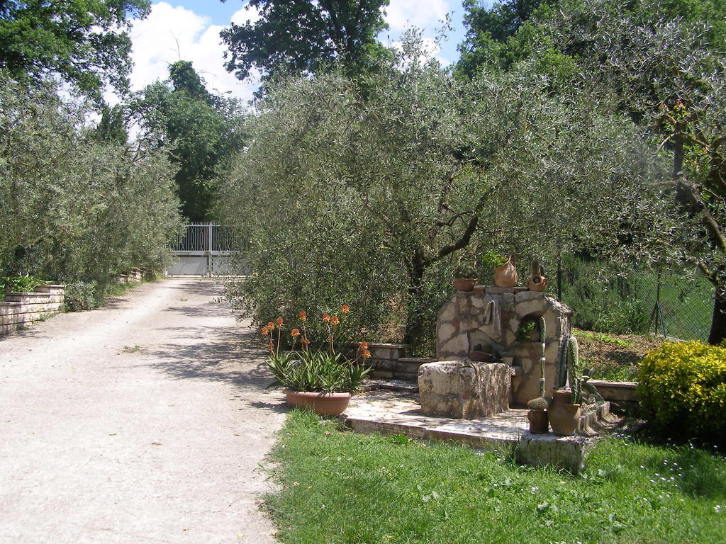 סן ג'מיני Bed And Breakfast Casale Isorella מראה חיצוני תמונה