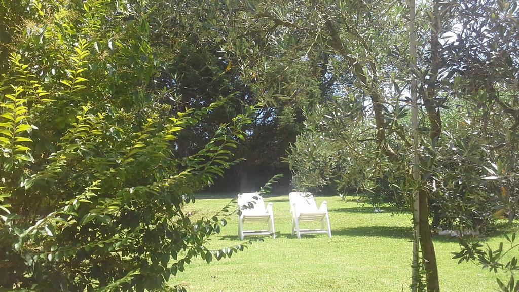סן ג'מיני Bed And Breakfast Casale Isorella מראה חיצוני תמונה