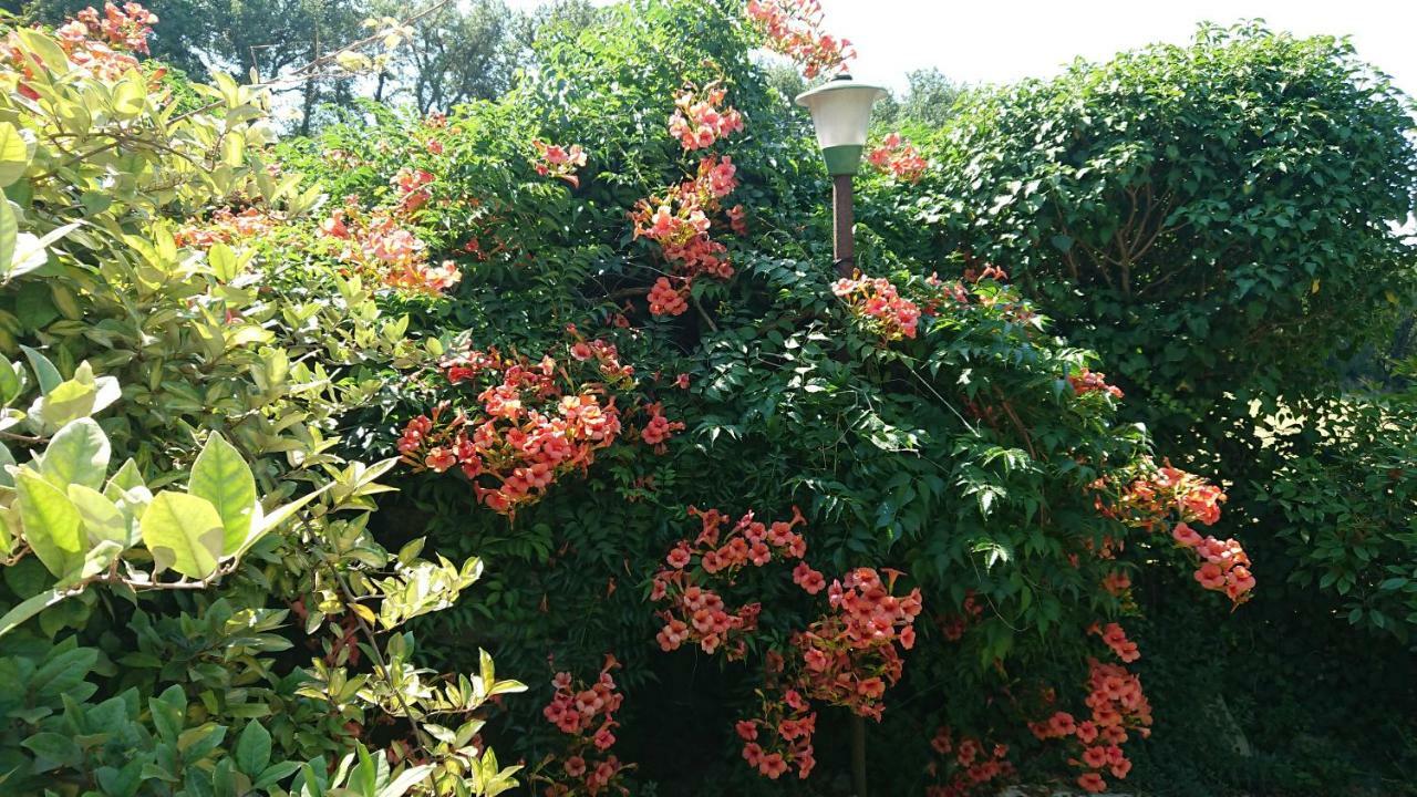 סן ג'מיני Bed And Breakfast Casale Isorella מראה חיצוני תמונה