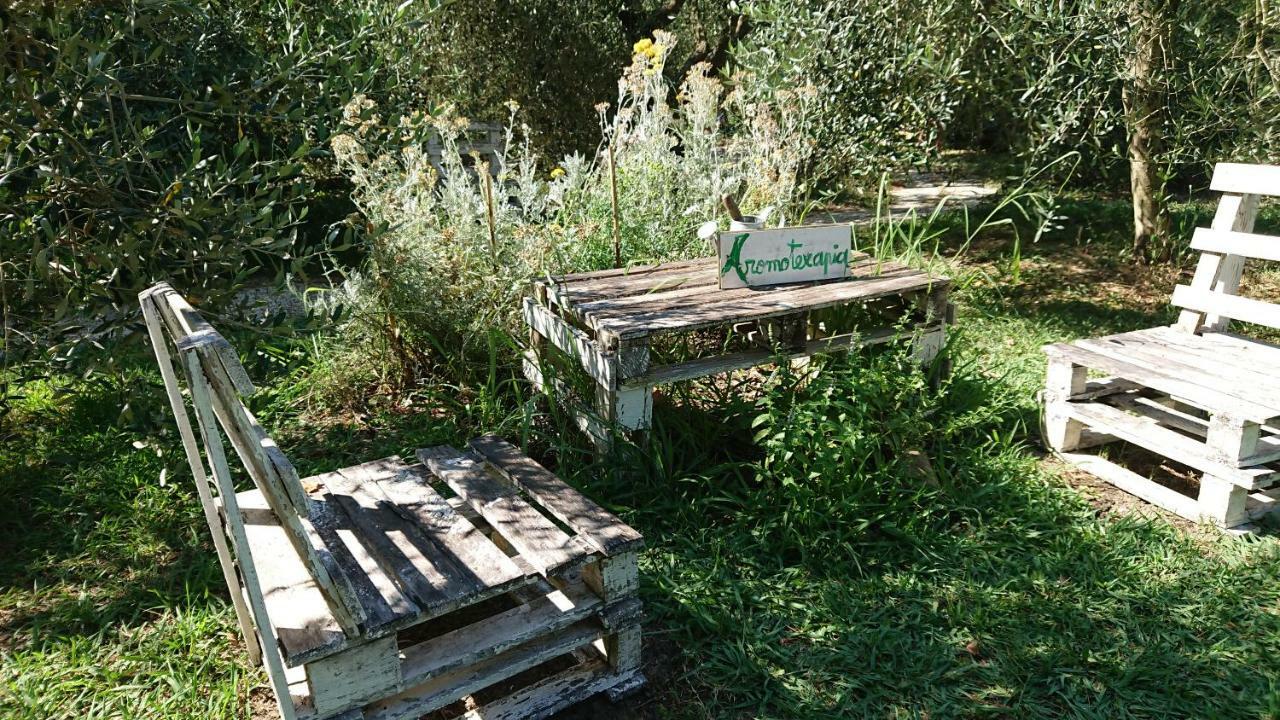 סן ג'מיני Bed And Breakfast Casale Isorella מראה חיצוני תמונה